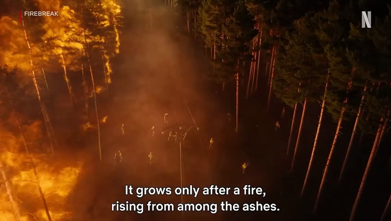 Firebreak Movie