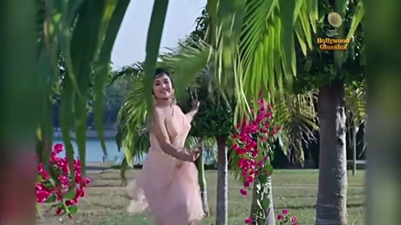 Suraj Movie Songs | Rajendra Kumar Birthday Special | Old Classic Songs | राजेंद्र कुमार के गाने