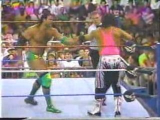 Bret Hart vs Razor Ramon (King Of The Ring '93)