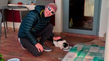 Couple Rescues Stray Cat On Vacation