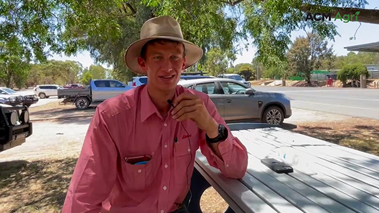 Wangaratta Blue Ribbon grown and weaner cattle sale