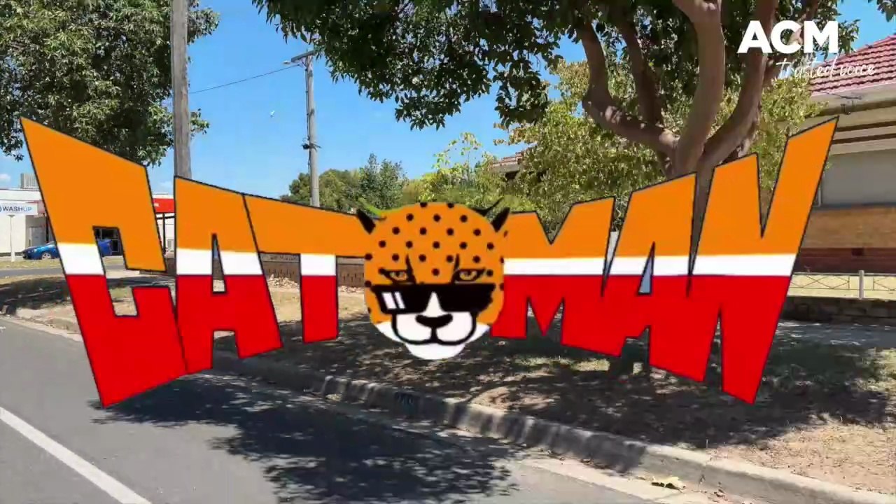 Catman walking around Australia