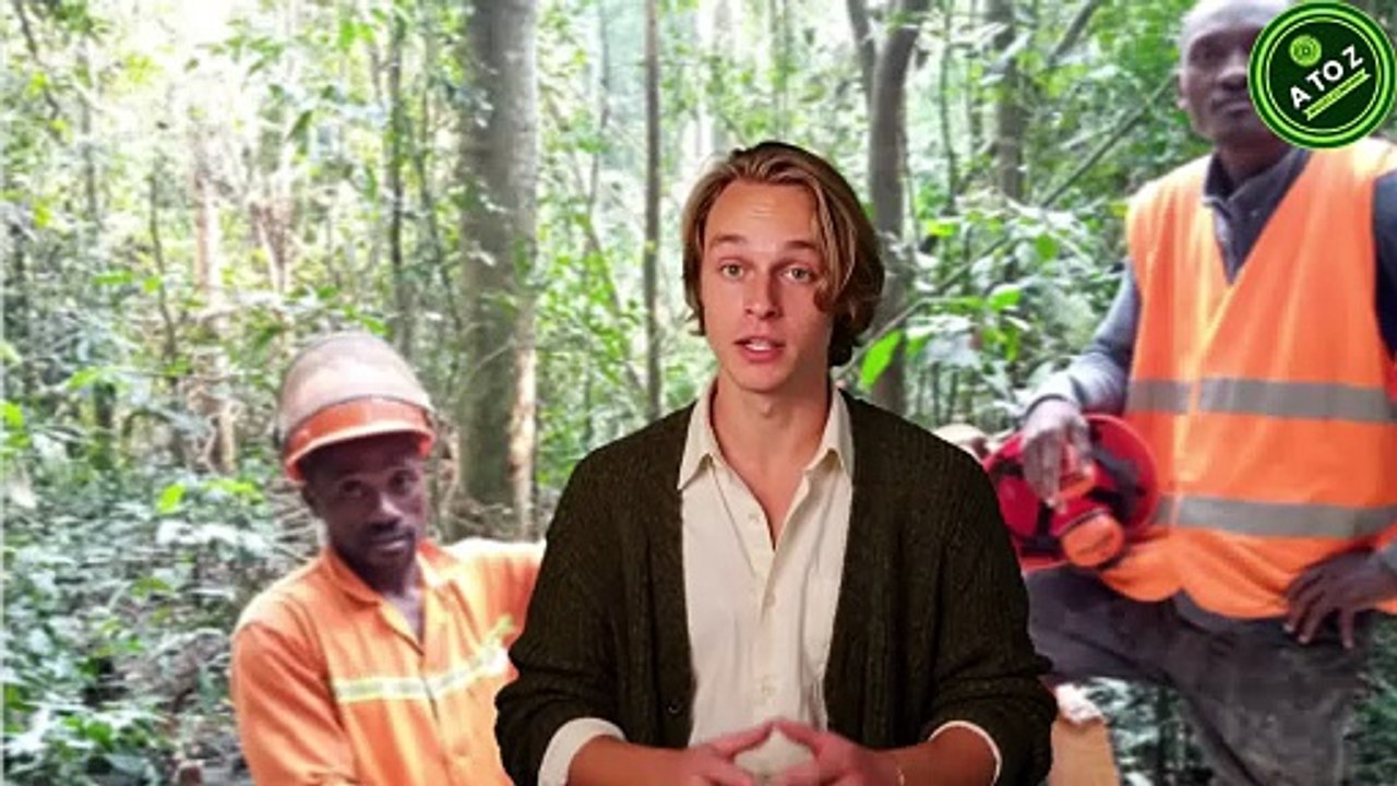 Africa’s Largest Wood Sawmill  Export-Grade Timber Supplier