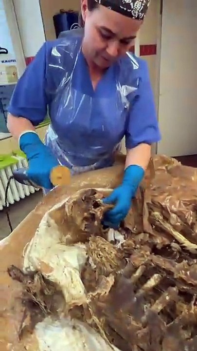 The Science of Forensics: Examining a Human Skull