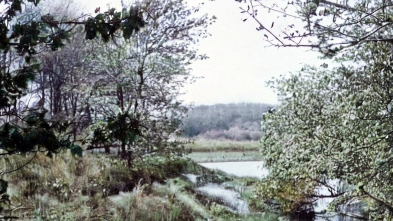 Is the Hockomock Swamp Home to Real Ghosts_ Discover Haunted Massachusetts!