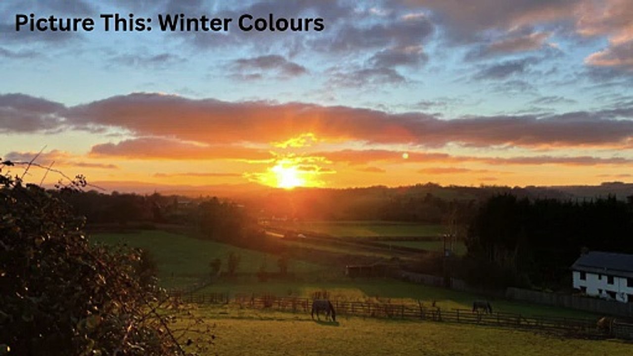 Picture This: Winter Colours!