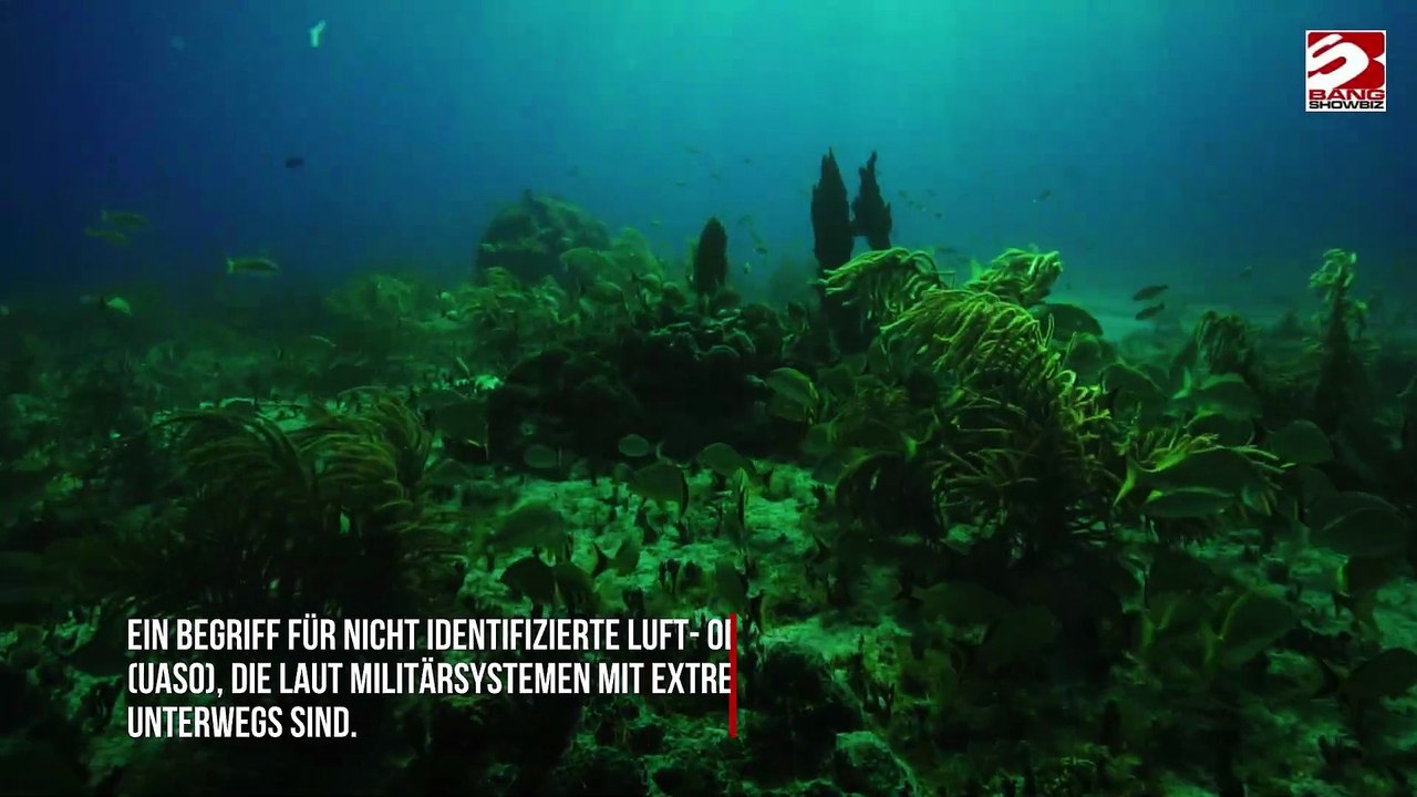 Unterwasser-Aliens-'Alarm' – bizarre Reddit-Story sorgt für Aufsehen