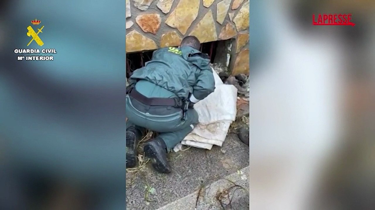 Spagna, maltempo in Andalusia: la Guardia Civil salva due cani intrappolati in uno scantinato
