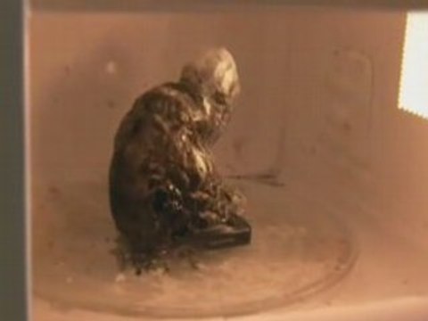 Telephone portable micro ondes