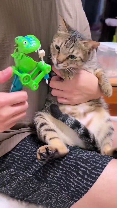 🦖Dinosaur Robot Lollipop