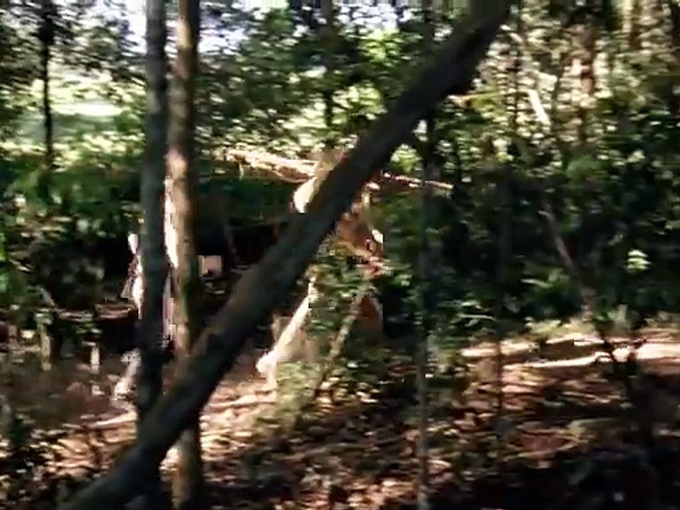 The Lost World S.02 Ep.18 - Survivors