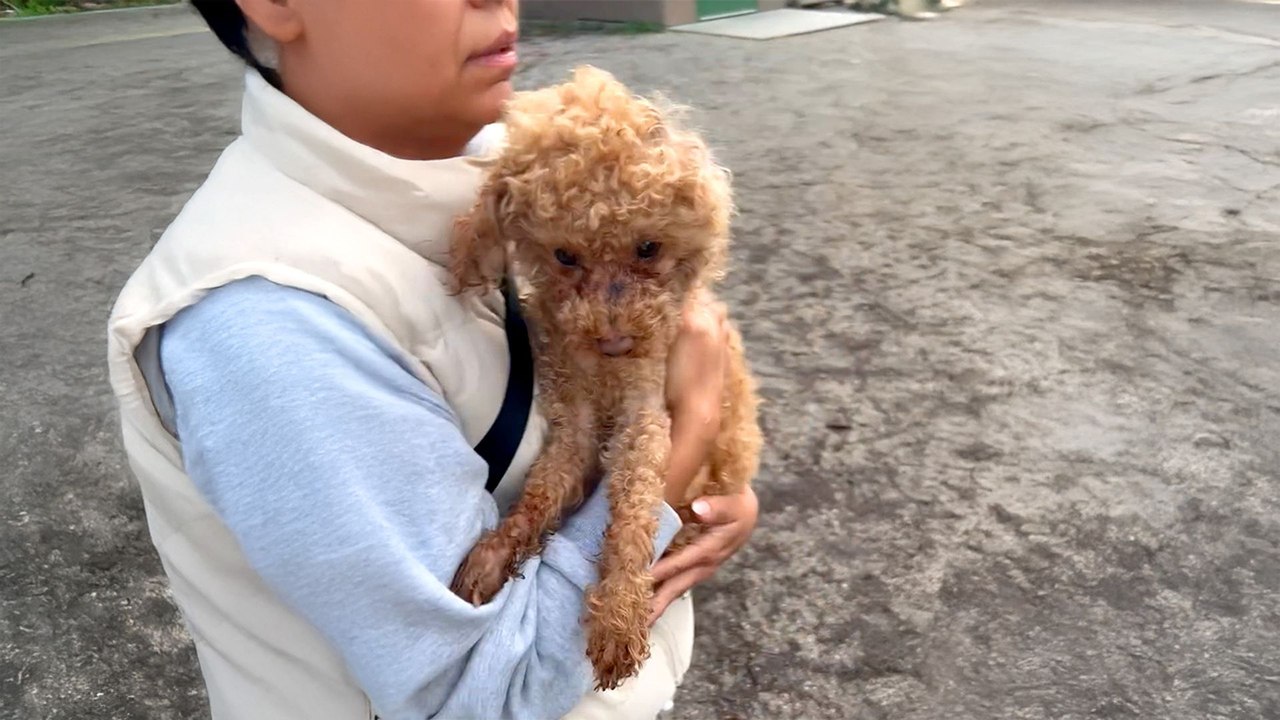 Woman Finds Someone Furry in Trash Can