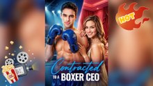 Contracted To A Boxer CEO [ NEW MOVIE RELEASES ]