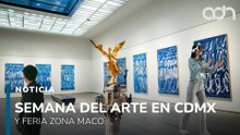 ¡Prepara la agenda! Así se vive la semana del Arte en CDMX con Zona MACO