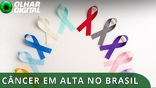 Brasil pode ter 781 mil novos casos de câncer por ano até 2028