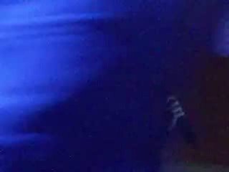 ne me quitte pas par sissi166