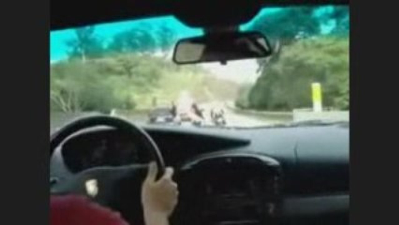 porsche GT3 sur autoroute