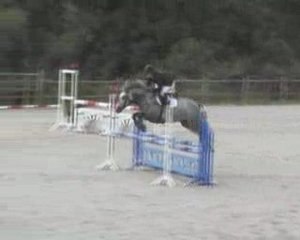 Ruy Blas de Boissis CC Gavray 25 juillet 2009