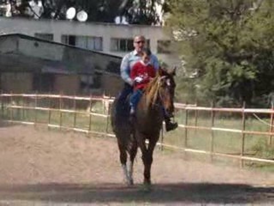 Hüseyin Haldun Kartal soli atlı center