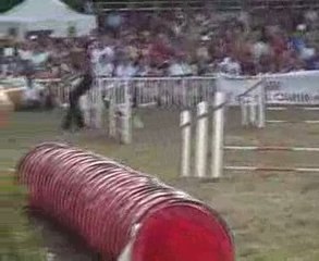 cibeins 09 etoile edf