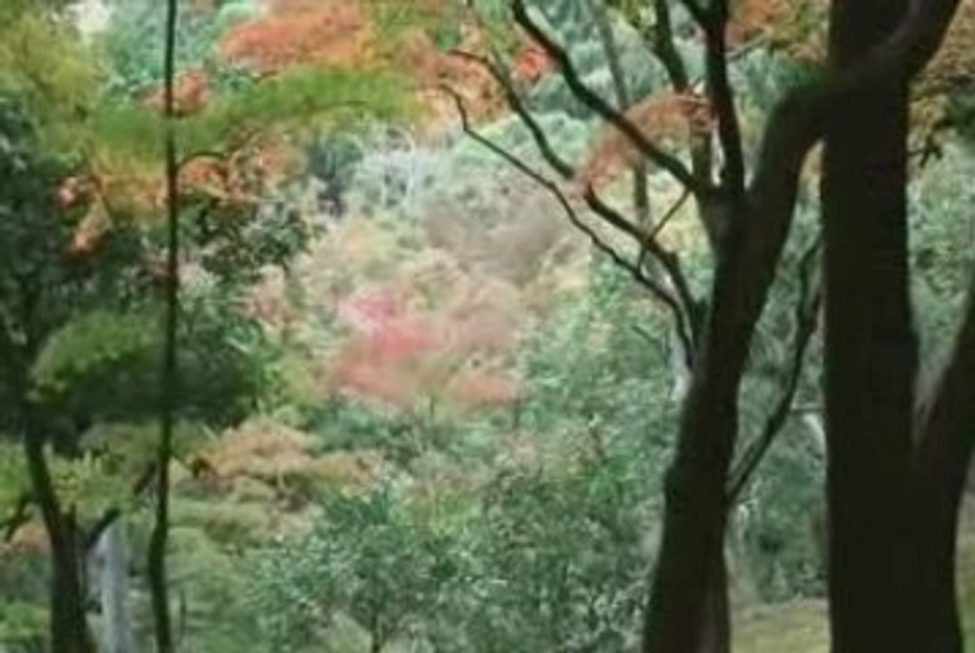 Art Carter - You Won't Be Lonely Long - Music Video