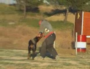 baron mordant 10 07 09