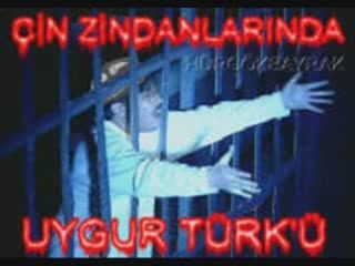 Komünist Çin'in Uygur Türklerine Zulmü