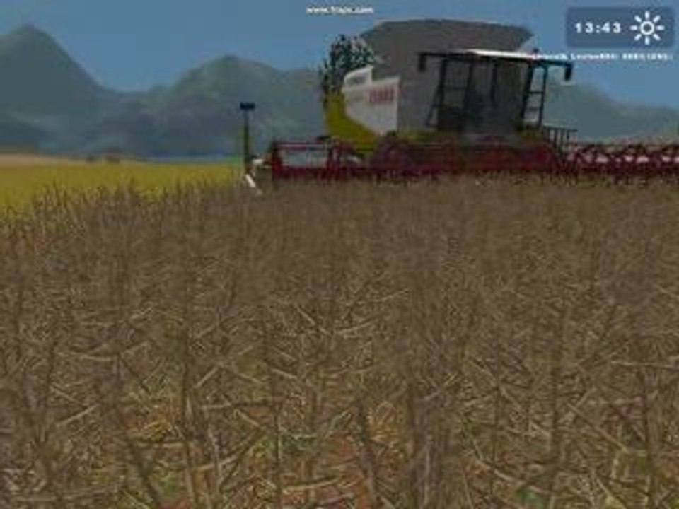 moisson de colza avec claas lexion 570