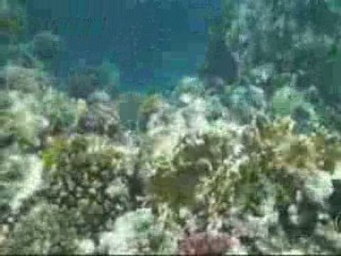 Club marmara Hurghada juin 2009 (Egypte) Egypt