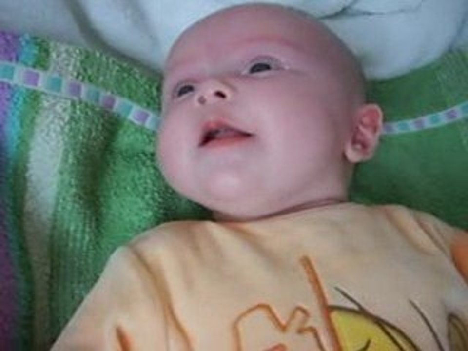 petit cri d'héloïse