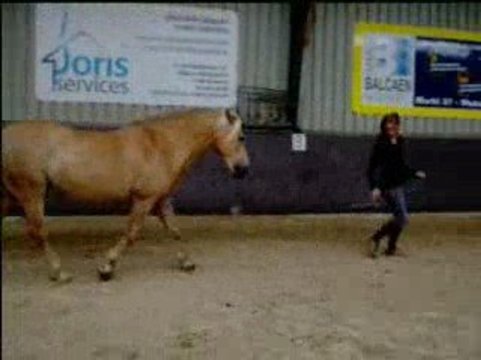 Amadeus-10juillet2009