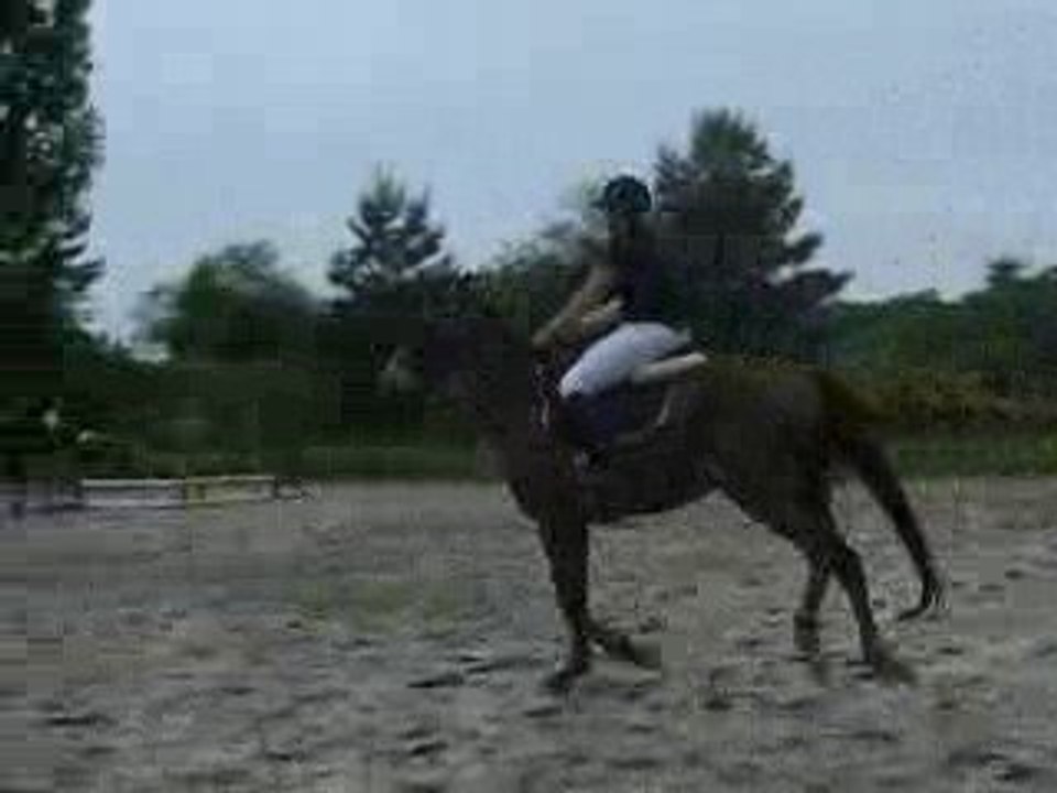 IMGP9996
