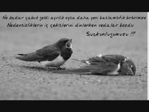 farid farjad-taghtam deh~ßy adogan~