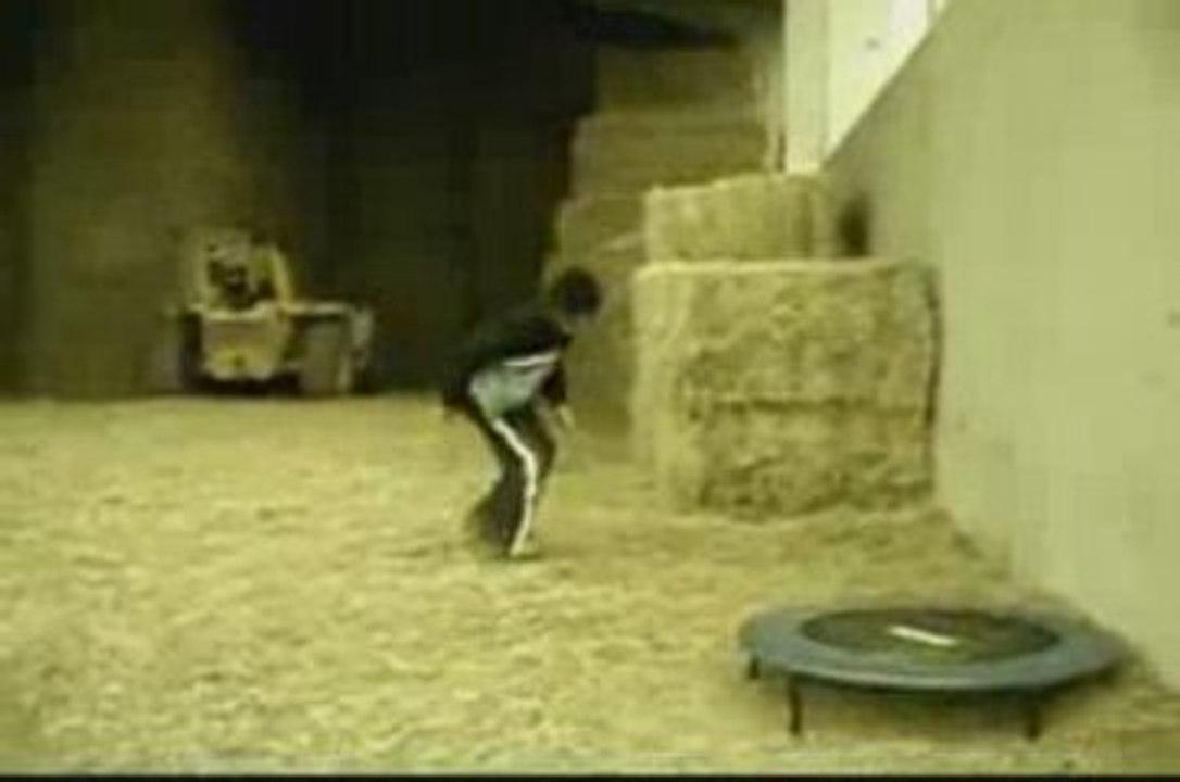 (video 6) SILENS RUNNERS parkour & tricks & free running