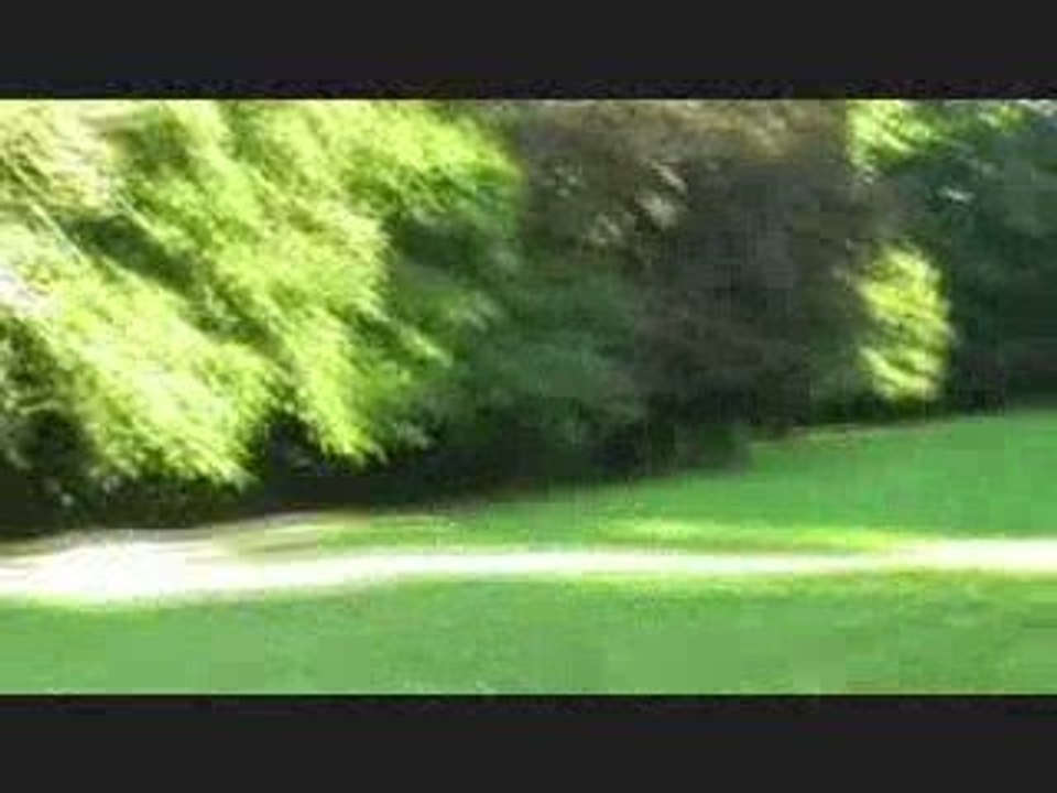 Dans les bois en 125 crm