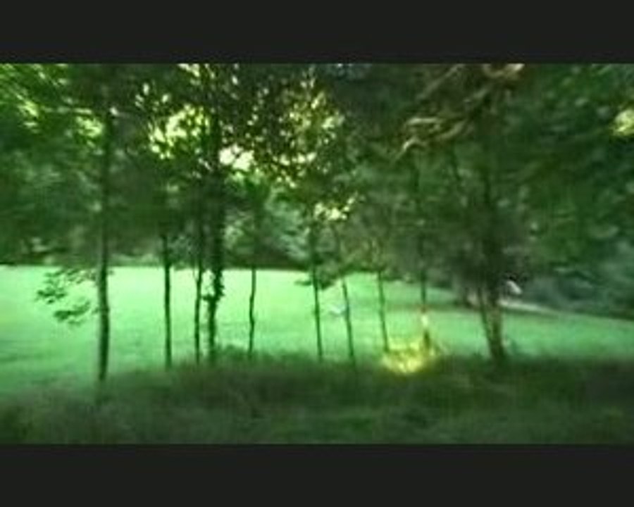 Moto enduro 125 kdx dans les bois