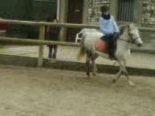 Moi et Lili / Détente au galop