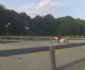 Moi et Nunchaku / Détente au Galop à Gauche