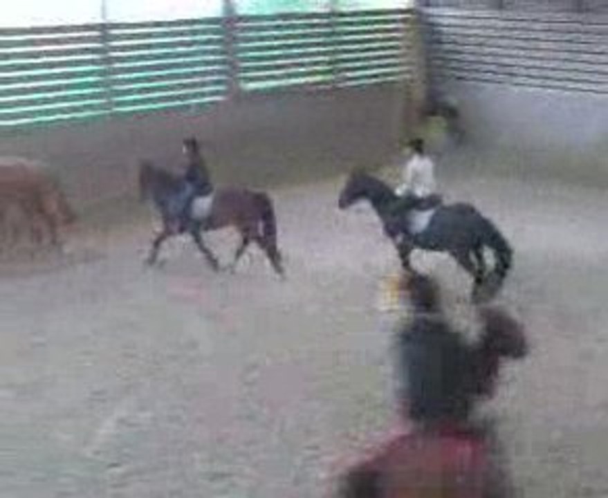 Sandra et Kidam / Carrousel