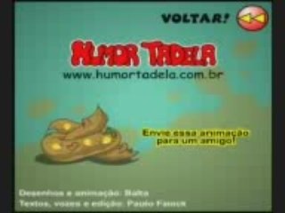 brasileiros estupidos