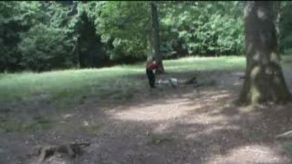 D'Arksaëd : agility au bois