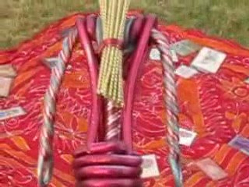 Miss PTBH GT à LA Vache Verte 1/2