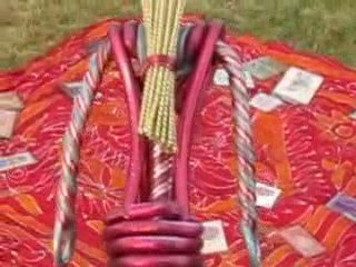 Miss PTBH GT à LA Vache Verte 1/2