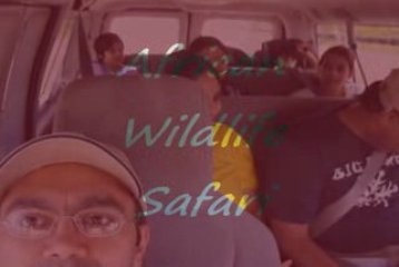 Vacation (African Safari)