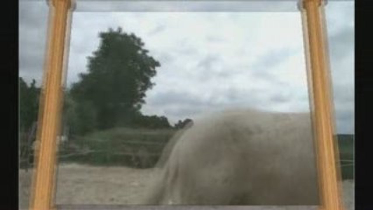 séances avec une longe