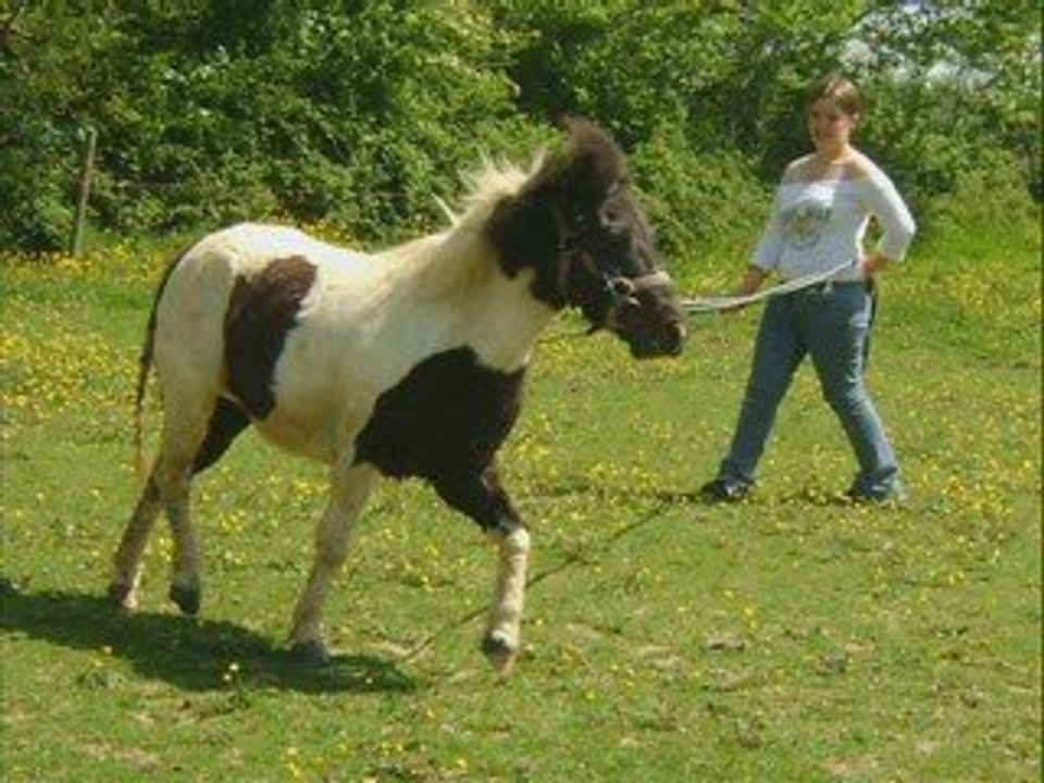 montage pour ma ponette