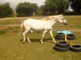 Cercle en liberté, controle à distance