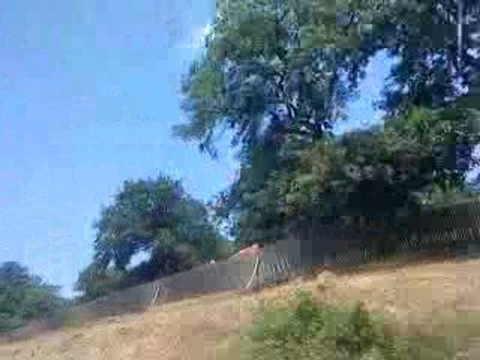 bg gezisi - kurtluca
