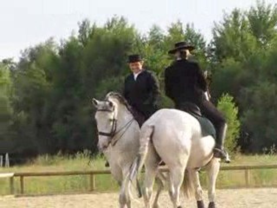 Pas de deux - Fête du club