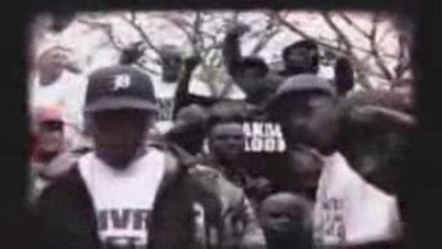 Alpha 5.20 ft lino iron sy mon crack